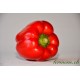 Poivron rouge