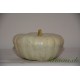 Courge Flat withe boer