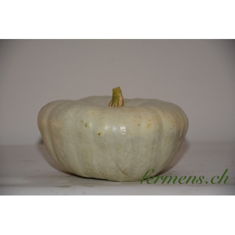 Courge Flat withe boer