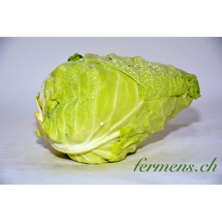 Chou nouveau