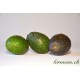 Avocat hass