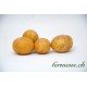 Pomme de terre  Vitabelle