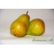 Poire Harrow sweet