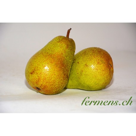 Poire Harrow sweet