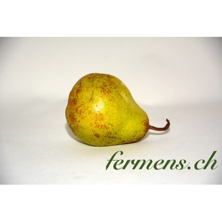 Poire Packam's