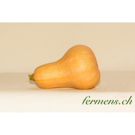 Courge butternut