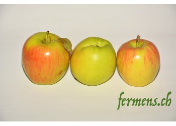 Pomme Decorf