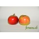 Pomme Ametys