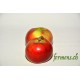 Pomme Ametys
