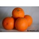 Orange Tarocco (mi-sanguine)