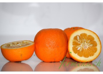 Orange Améres
