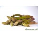 Asperge verte du Valais