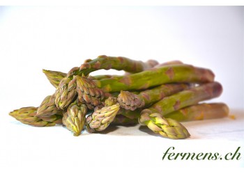 Asperge verte du Valais