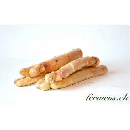 Asperge blanche