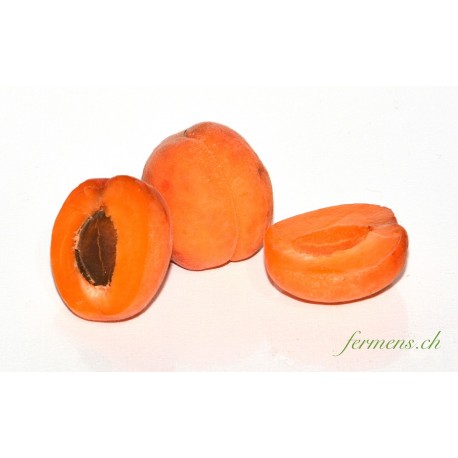 Abricots