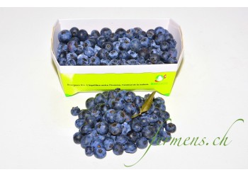 Myrtilles  Barquette  250 gr