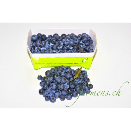 Myrtilles  Barquette  250 gr
