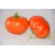 Tomates Babouchka