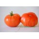 Tomates Babouchka