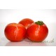 tomate sauce