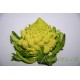 Romanesco
