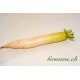 Radis blanc