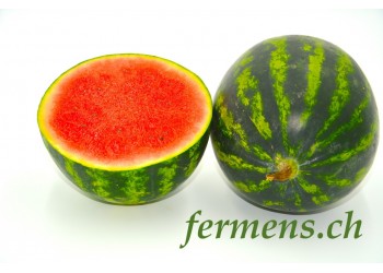 pastèques