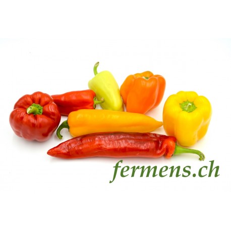 poivrons mèlangès