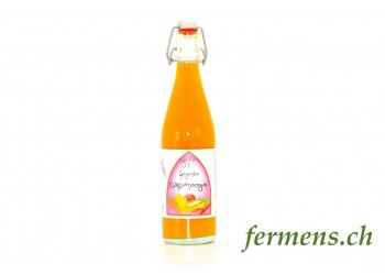 Jus de Gingembre Curcumangue 500ml