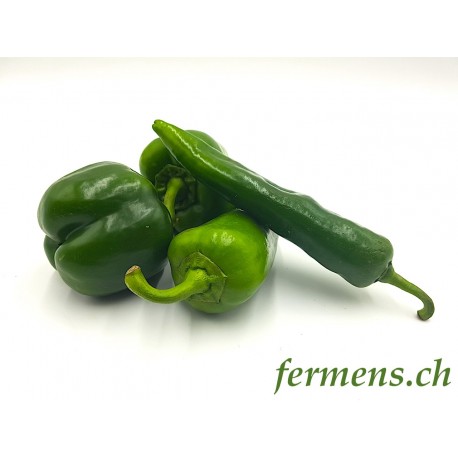 Poivrons verts mélangés