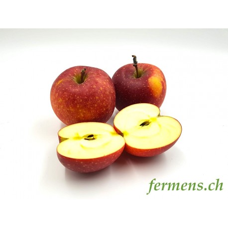 Pomme Dalisweet