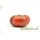 Tomate noir de crimée