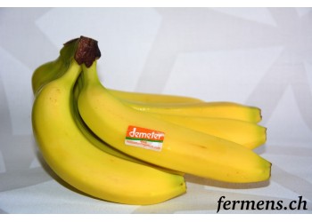 Bananes des Îles Canaries
