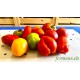 tomate sauce