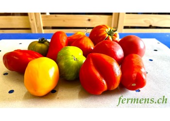 tomate sauce