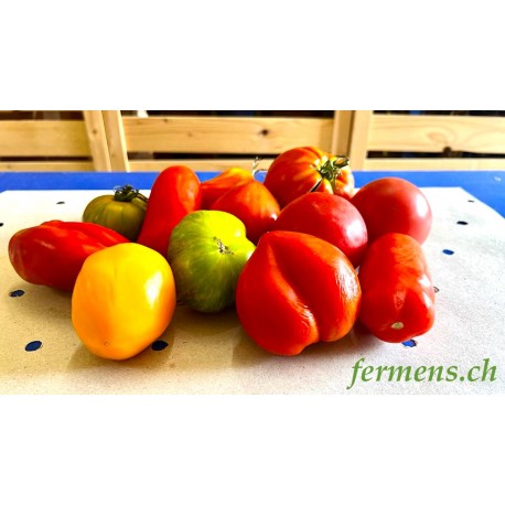 tomate sauce