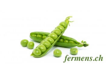 Petit Pois (Fermens)