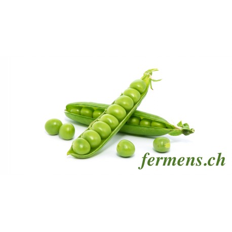 Petit Pois (Fermens)