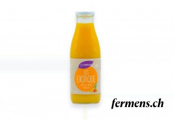 Jus de fruits Exotiques BIO 75cl