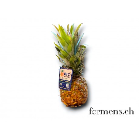 Ananas