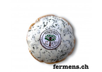 Fromage à tartiner ails et ciboulettes (200gr)