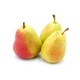 Poire Guyot