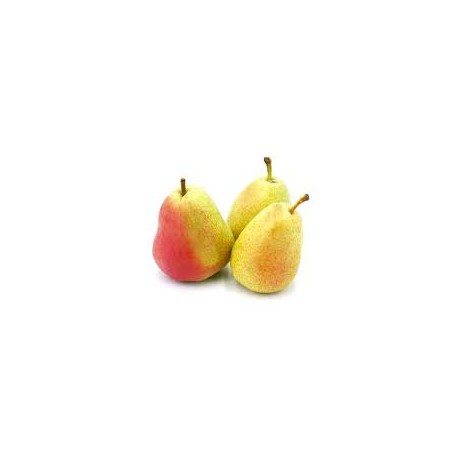 Poire Guyot