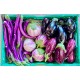 Aubergine mélange
