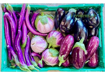 Aubergine mélange