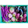 Aubergine mélange