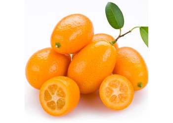 Kumquat