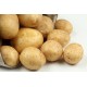 Pomme de terre Vitabella (ferme)