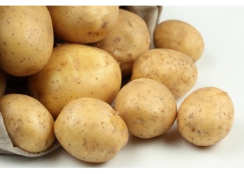 Pomme de terre Vitabella (ferme)