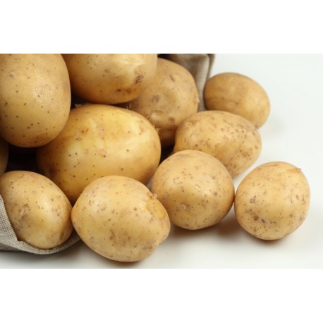 Pomme de terre Vitabella (ferme)